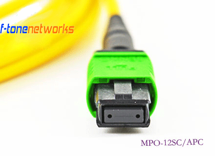 大宝娱乐-LGϷ|PTϷ|CQ9Ϸ